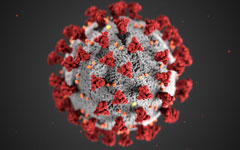 冠状病毒的微观例子
