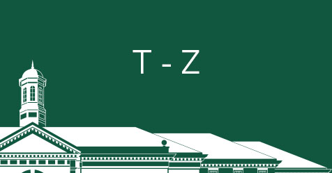 T  -  Z与部分米勒霍尔线艺术